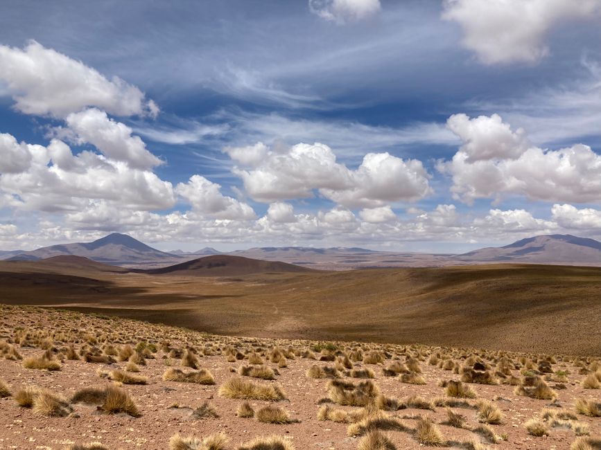 Las Lagunas in the Altiplano