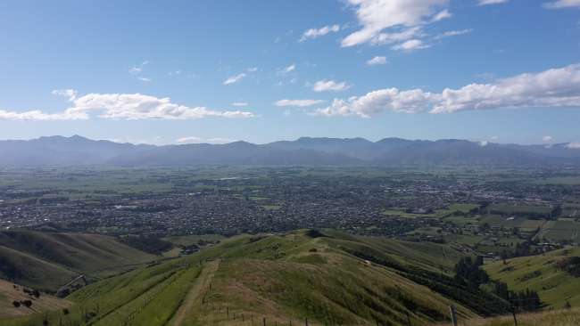 View of Blenheim from Wither Hills Farm Park