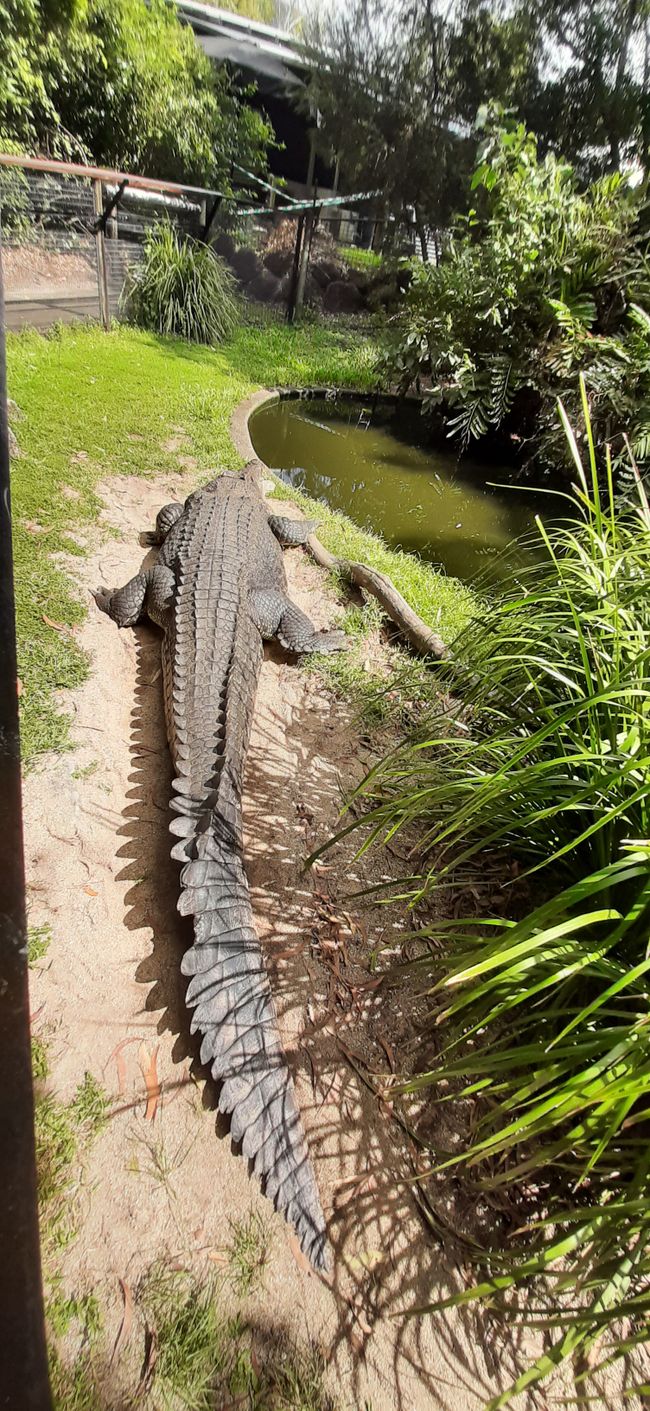 Hartley's Crocodile Adventures 