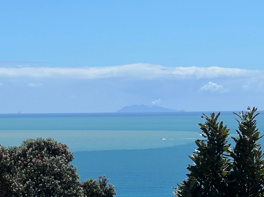 From Opotiki to Rotura and Papamoa