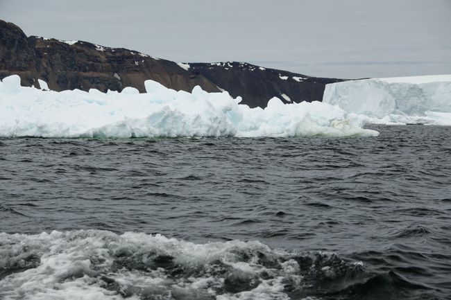 20-12-19: Icebergs, icebergs, icebergs
