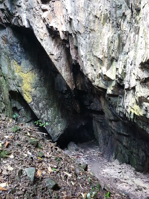 Glühwürmchen Höhle