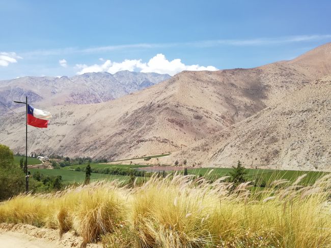 Elqui Valley (Known for Pisco production, UFO sightings, and writer Gabriela Mistral)