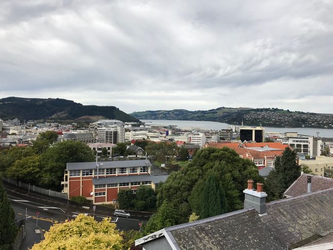 Blick von unserer Terrasse auf Dunedin