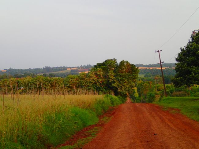 Rohaihu Paraguay part 2