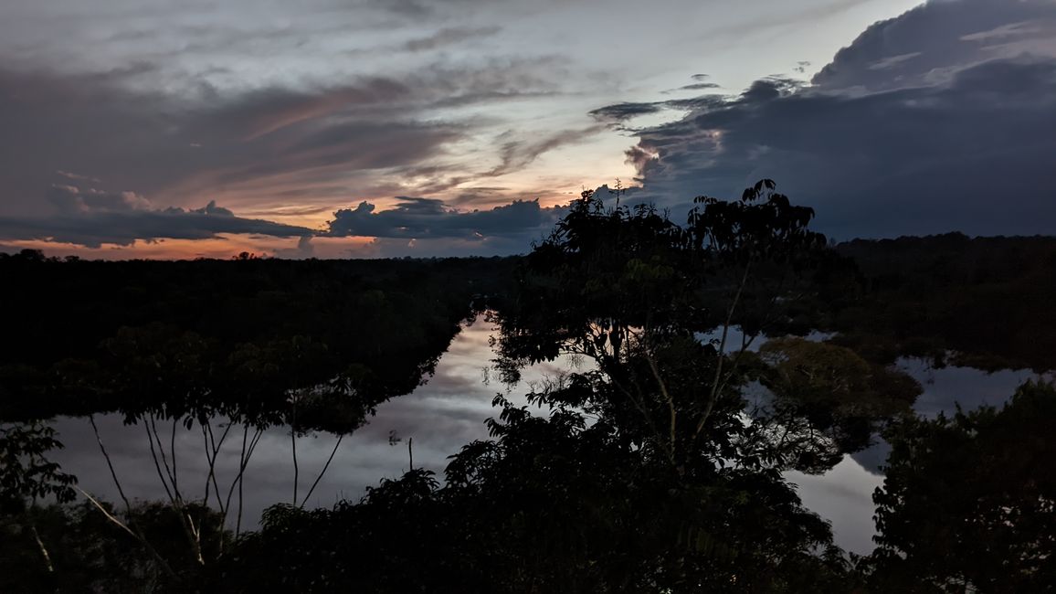 2. Día en la selva amazónica