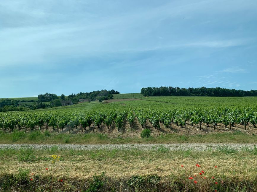 BLOG 18: Burgundy - and home / Burgundy - and Back Home!