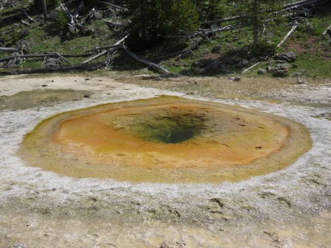 Tag 7: Yellowstone NP, Superior Geyser Basin, Black Sand Basin und Biscuit Basin