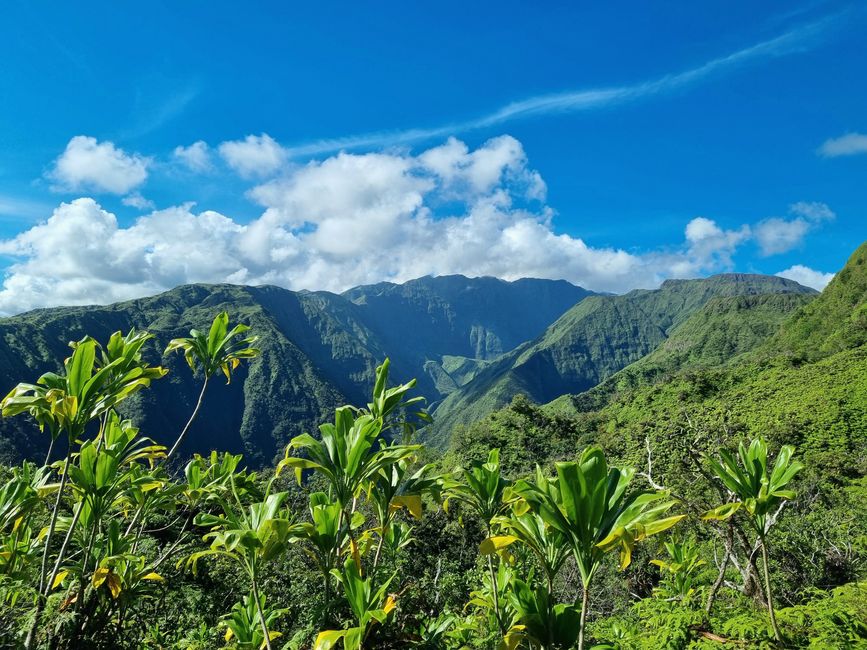 Hawaii 2022 - Part 3: Maui