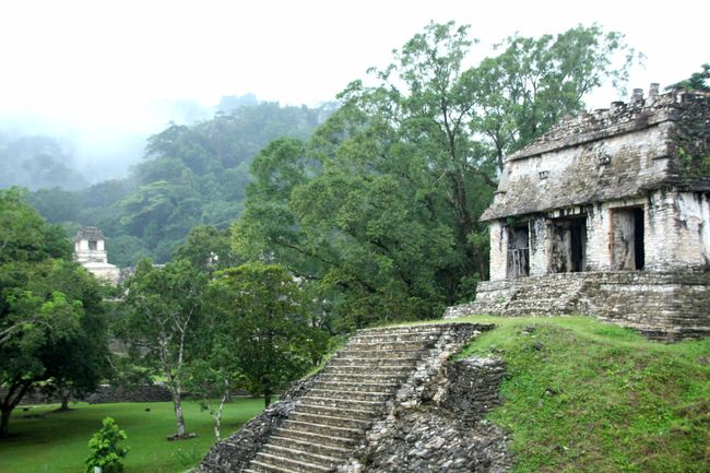 Palenque: Dschungel und Ruinen