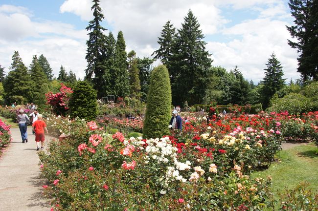 Portland (Oregon) - van die roostuin tot die kleinste park ter wêreld