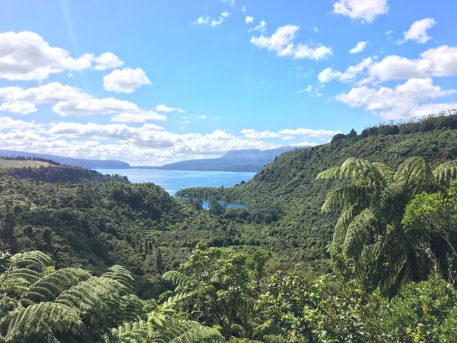 Seen bei Rotorua und Hobbingen