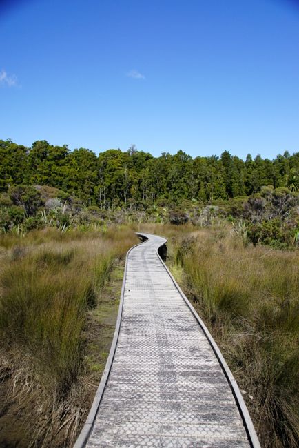 Hapuka Estuary Walk