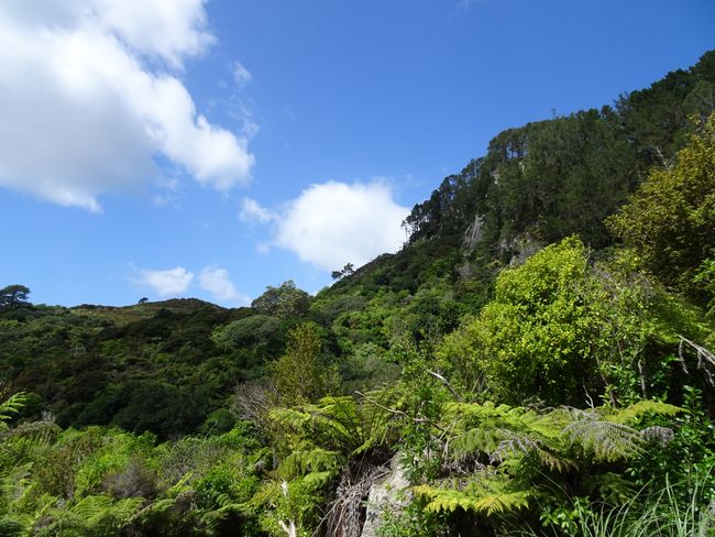 Neuseeland Nordinsel Campervanrundreise