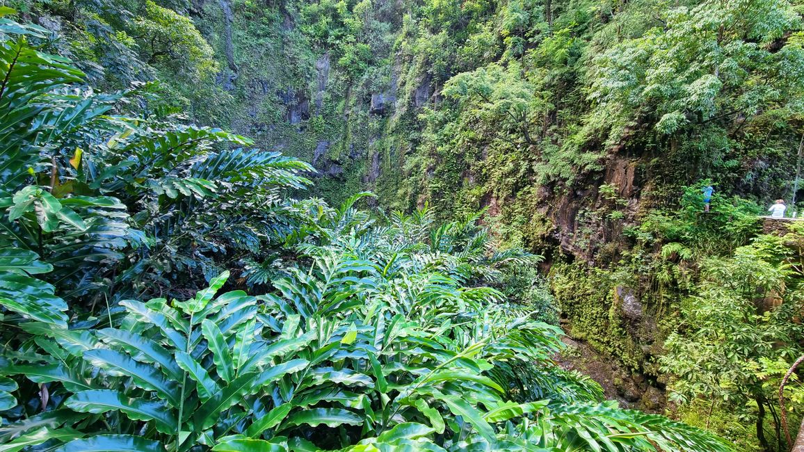 Hawaii 2022 - Part 3: Maui