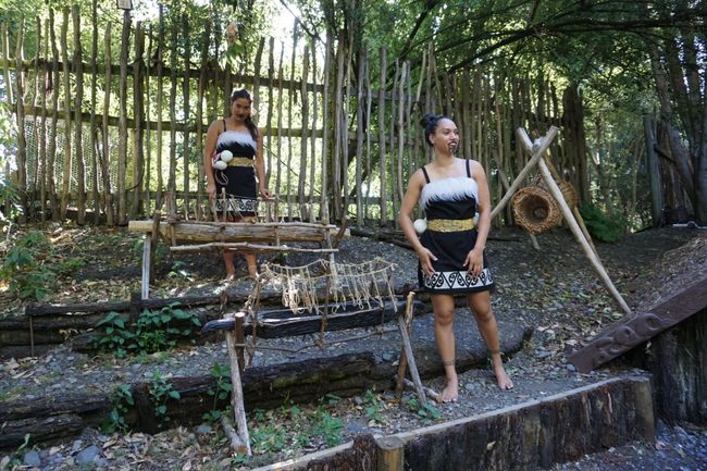 Einblicke in die Maori-Kultur