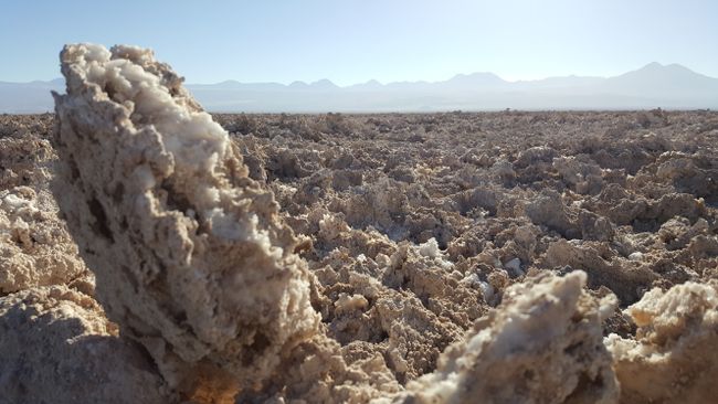 Salar de Atacama (Salzwüste)
