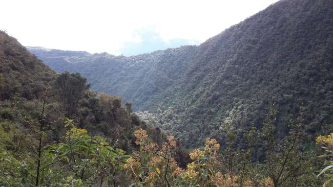 Path to Machu Picchu.