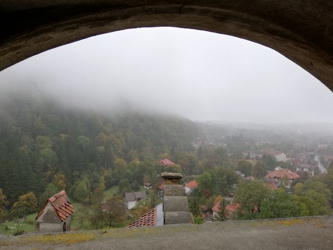 Week 8 From the Carpathians to the Black Sea (Romania)