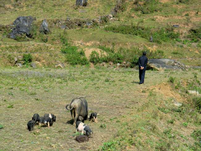 Motorcycle Diaries - on 2 wheels through the north of Vietnam