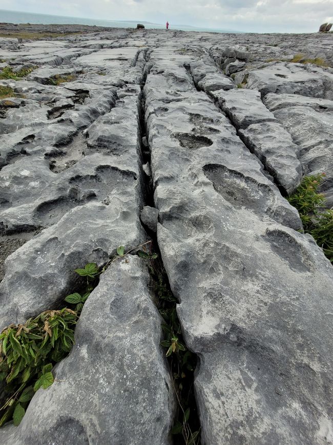 The Burren: Caherconnell Fort, Pulnabrone & more