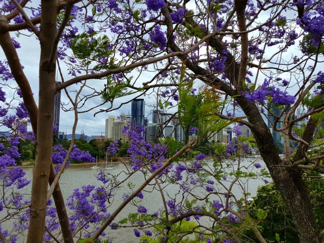 Brisbane: Hübsch und übersichtlich