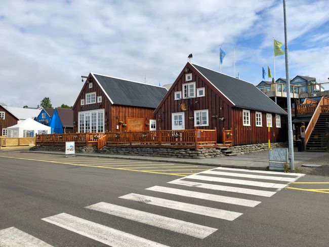 Day 7: Húsavík, Selfoss, Godafoss