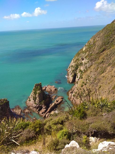 Cliff at Nugget Point