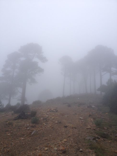 Guatemala: Volcanos Chicabal und Tajumulco