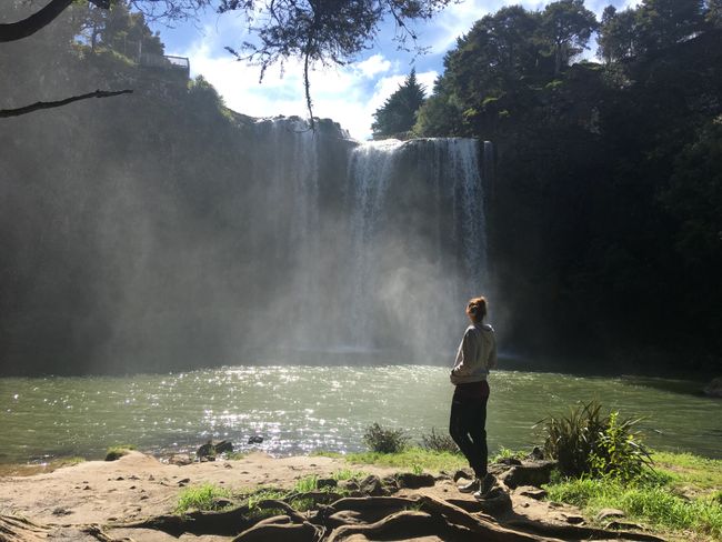 Whangarei Water Falls