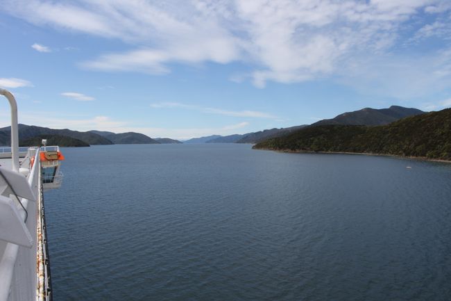 Ferry Interislander - View forward (Marlborough Sounds)