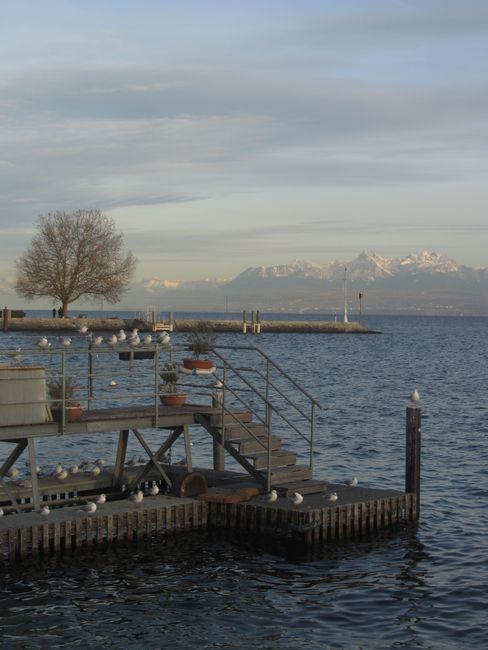 Geneva and its lake
