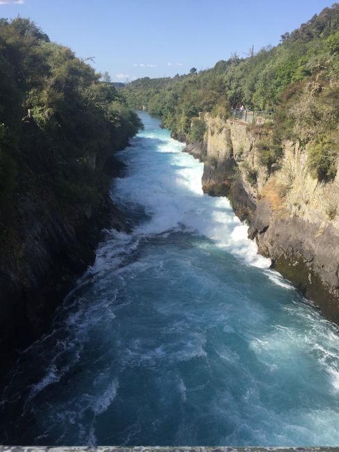 Family time Part 2 and the North Island of New Zealand