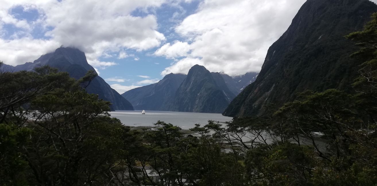 Milford Sound and the way there