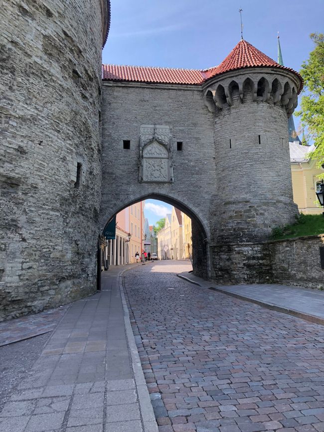 Tallinn - Zurück im Mittelalter
