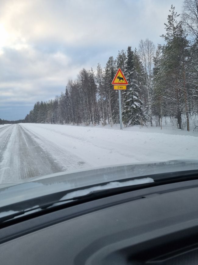 19.02.: Travel day Inari - Rovaniemi