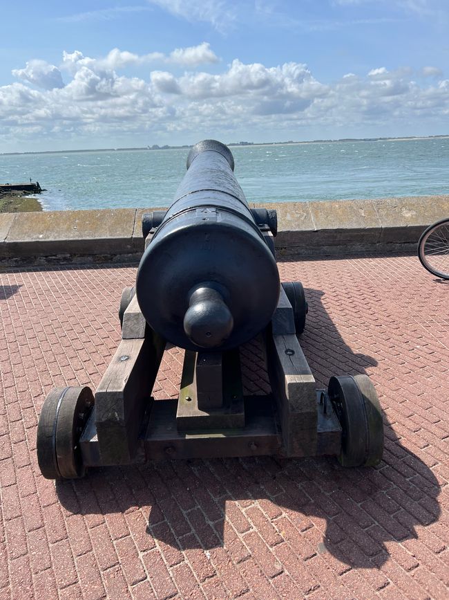 Next cannon