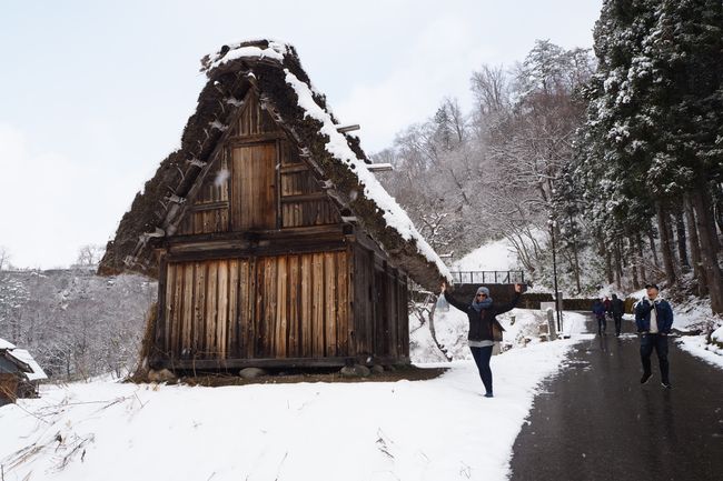 Japan deel 2- van sneeu tot sakura
