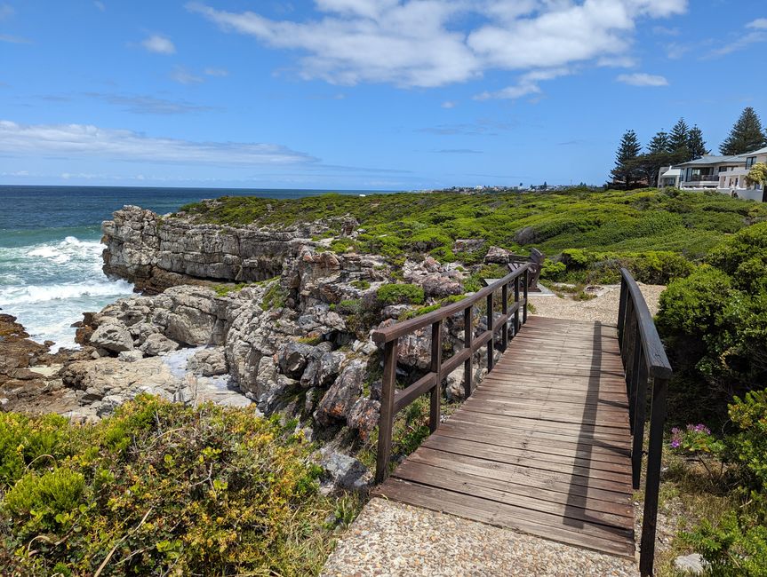 Hermanus / Cliff Path und die eigentliche "Walhauptstadt" Gansbaai