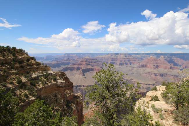 Tag 4: Der Grand Canyon