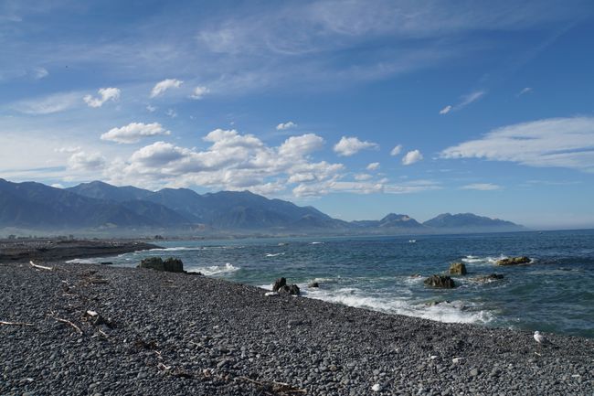 View of the rocky coast of Kaikoura