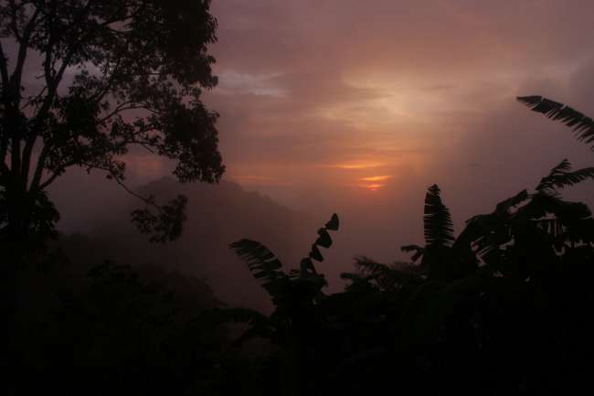 Sonnenuntergang im Nebelwald
