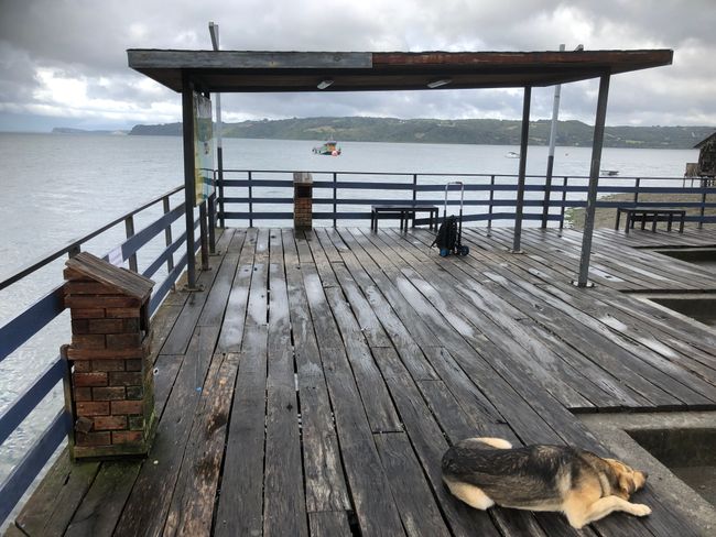 Vierundzwanzigster Tag: Chiloé nach Puerto Varas (4. Mai 2019)