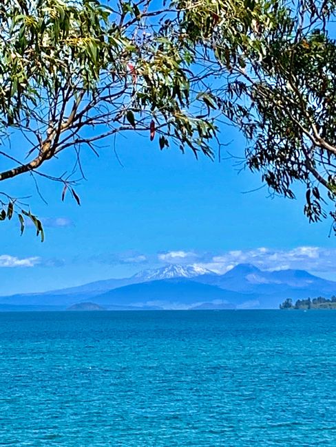 Lake Taupo. Im Hintergrund sieht man noch Schnee auf den Vulkanen 