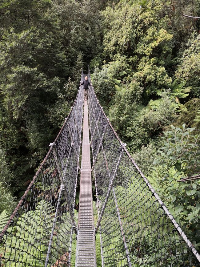 Hängebrücke bei den Montezuma Falls