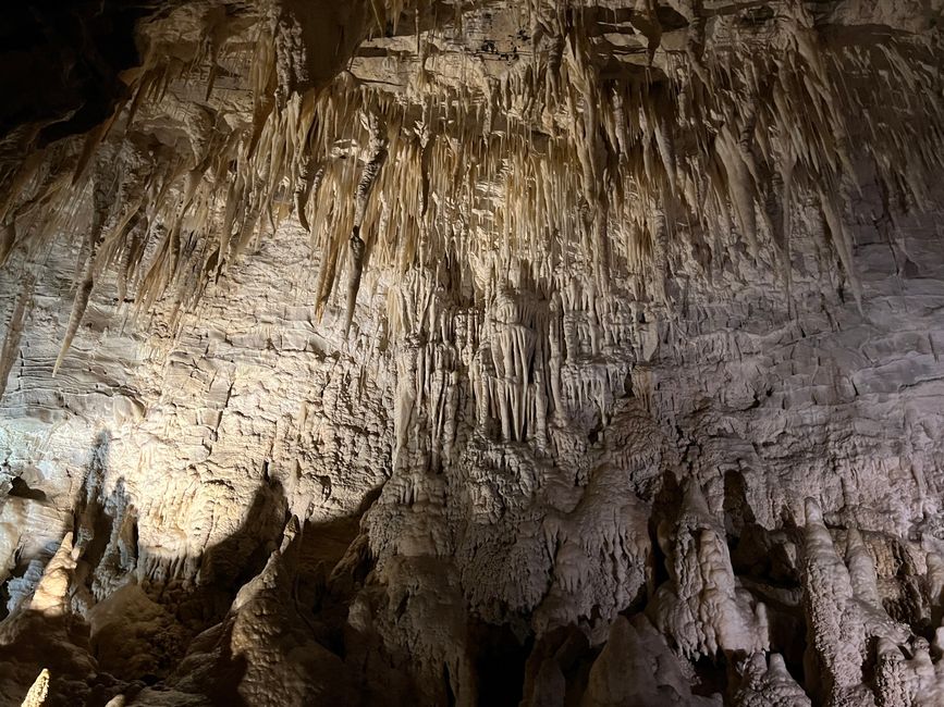 Waitomo - Ruakuri Cave