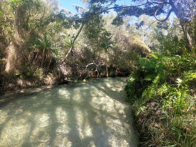 Bowarrady Creek