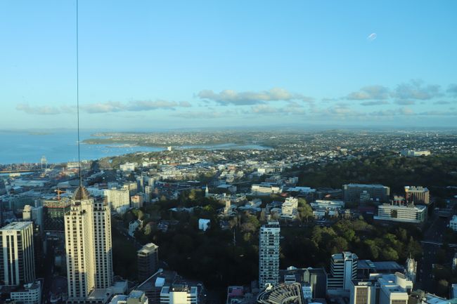 Auckland vom Sky Tower aus