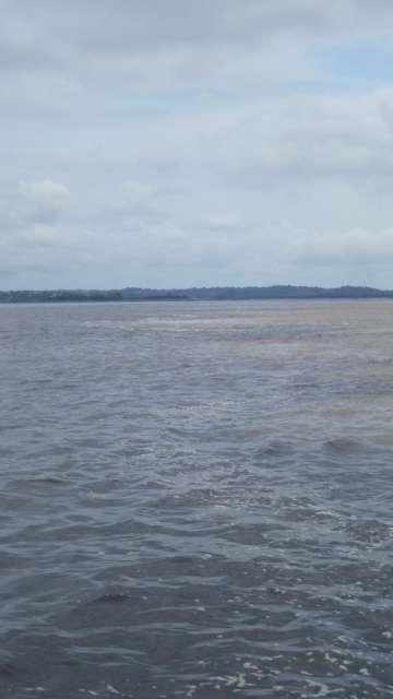 Rio Negro and Solimoes