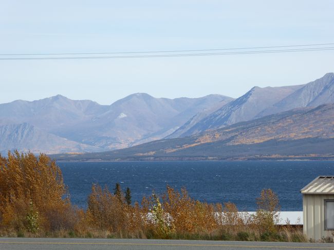 500km auf dem Alaska Highway von Kanada nach Alaska